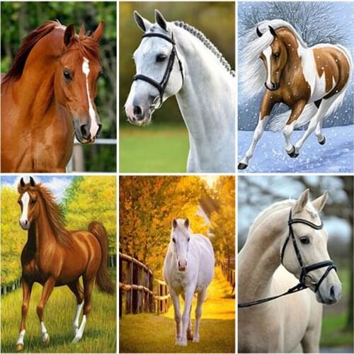 DIY Horse 5D Diamond Painting Full Square/Round Rhinestone Picture Animal Diamond Embroidery Mosaic Beaded Home Decoration Gift