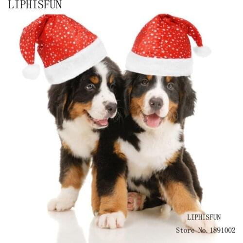 5d Diy Diamond Full Diamond Embroidery Animal Magic Diamond Cross Stitch Resin Square Diamond Sets Christmas Dog Home Decor