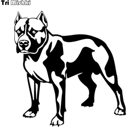 Tri Mishki HZX021 15.6*15cm 1-4 pieces car sticker pitbull on board auto car stickers
