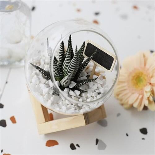 Mini Garden Accessories Turquoise Home Decor Bonsai Green Crafts Succulent Plant Glass Pot DIY Home Garden Office Ornaments