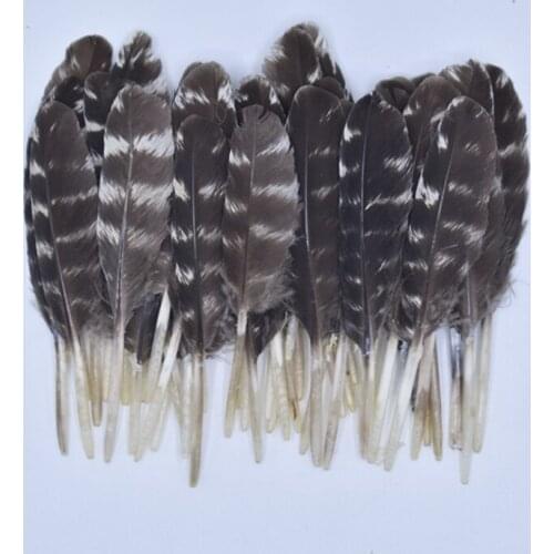 20Pcs Natural Feathers for Crafts Decoration Small Pheasant Feather DIY Decor Turkey Feathers Eagle Carnival Accessories Plume