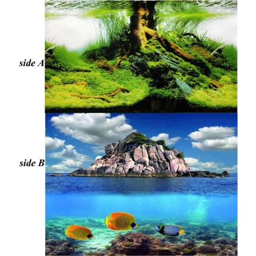 9045 15 Meters/Roll Double Sided Aquarium Decoration Picture Poster Waterscape / Three Fishes Fish Tank Background