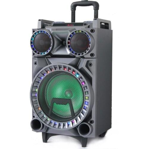 Popular Karaoke 10 inch Portable Subwoofer Trolley Speaker with Bluetooth