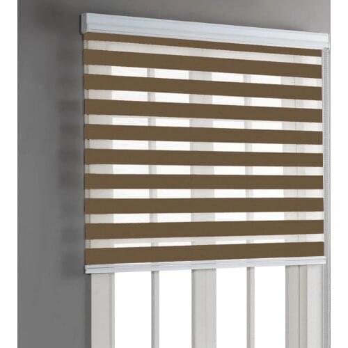 Zebra Roller Blinds Curtain Dual Layer Shades Sheer/Privacy Light Control Day and Night Blind Window Drapes Striped Dove Shade
