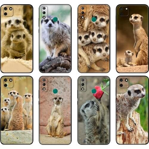Black tpu Case For Huawei Y9S Y6S Y8S Y5P Y7P Y8P Case For Huawei Y5 lite Prime 2018 Y6 2019 Cover animal mob of meerkats