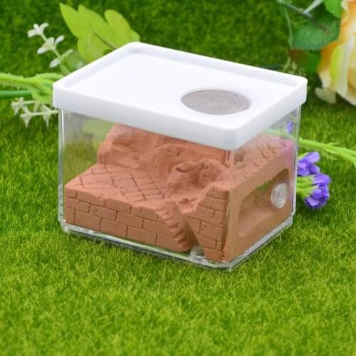 New Ecological Plaster Ant Farm square Nest Landscaping Ant House Ant Nest Workshop Pet Anthill Insect Box 10.3*7.6*7.5cm
