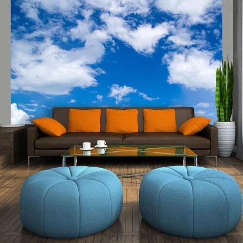 Wall mural-under the sky-400x309 cm