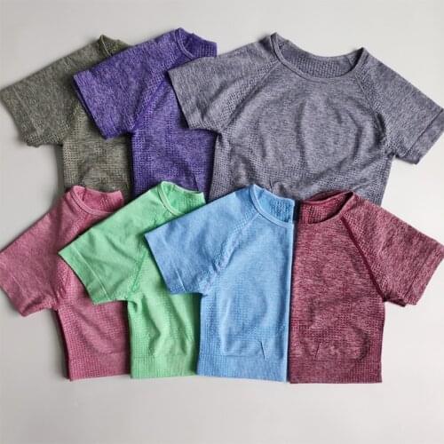 Nepoagym 7 Colors Vital Seamless Cropped Top Short Sleeve Sports Tops Gym Women Super Stretchy Workout Shirts for Women Yoga Top