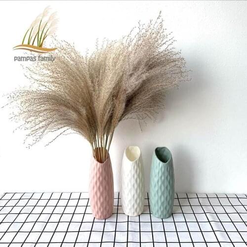 Wedding flowers pampas grass plants decor natural dried flower bouquets Feather decoration Contains colored plastic vase