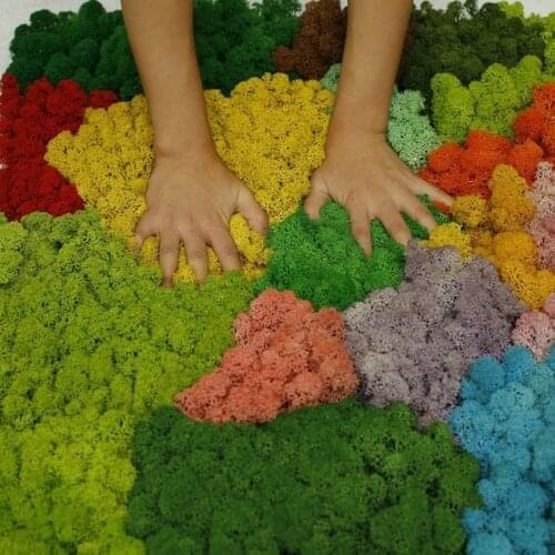 10g/lot Dry Natural Fresh Moss Decorative Sphagnum Mosses Real Eternal Dried Grass DIY Decorative Preserved Flowers Accessories