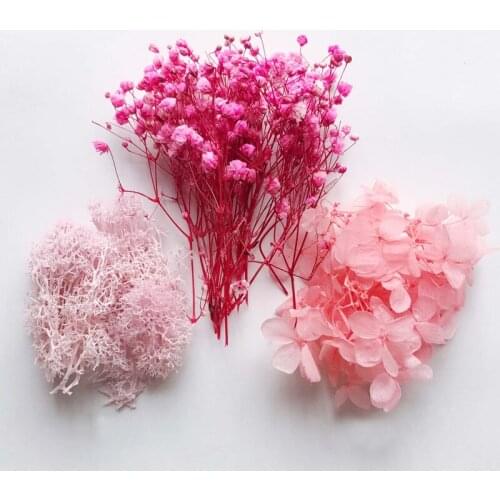Real Dried Flower Material Package DIY Craft Aromatherapy Candle Resin Pendant Necklace Decoration Plants Making Tool