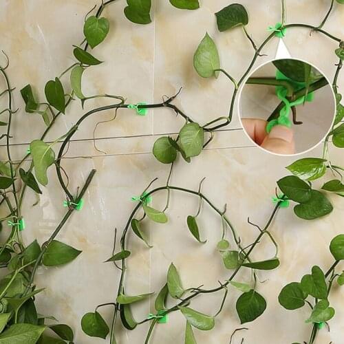 100pcs Invisible Wall Rattan Clamp Clip Invisible Wall Vine Climbing Sticky Hook Rattan Fixed Clip Bracket Plant Stent Supports
