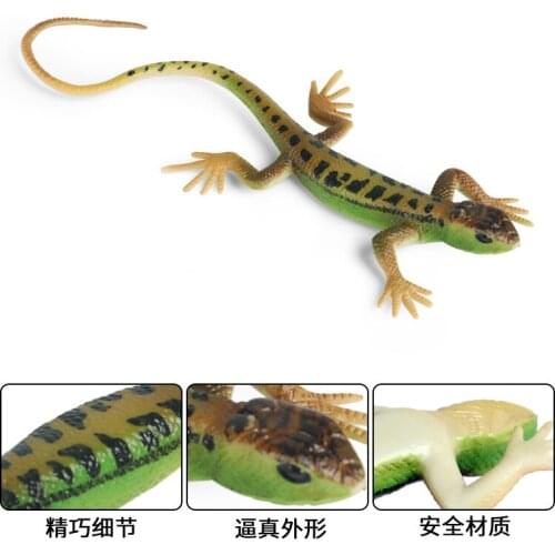 Lizard Wild Animal Model Childrens Cognitive Animal Toys