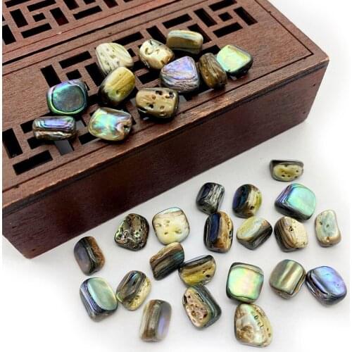 3pcs Abalone Shell Natural Shell Beads Irregular Shape Beads for Jewelry Making DIY Necklace Charm Bracelet Earring Accessories