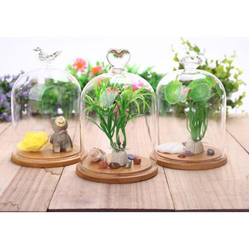 Preserved Fresh Flower Glass Cover Wedding Home Bird Heart Festival ValentineS Day Prop Floral Decor Party Supplies Gift