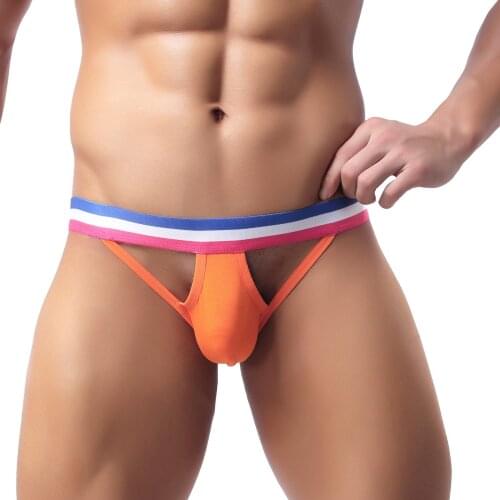 Mens Bikini Briefs Sexy Underwear Comfy Panties Hollow Erotic Triangular Cotton Sexy Breathable Underpants Gay Free shipping