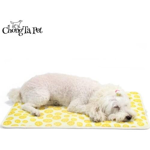 Pet Mat Cool and Breathable Cat Mat Summer Thin Waterproof Dog Sleeping Mat