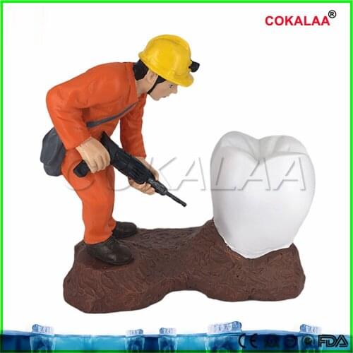 Good quality Dental Artware Teeth Handicraft Dentist Gift Resin Crafts Dental Clinic Decoration Furnishing Articles Creative