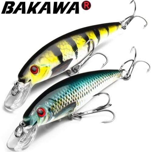 Bakawa Fishing Bait