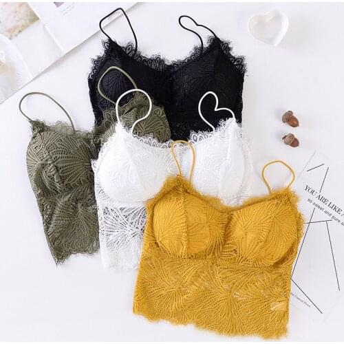 Summer Top Bras Trim Lace Padded Womens TubeTop Hot Sexy Cropped Bralette High Quality Breathable Womens Underwear Wireless
