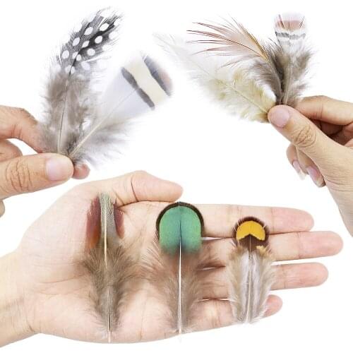 50pcs/pack Natural Pheasant Feathers High quality Plumes Jewelry Party Accessories Diy Holiday Decoration