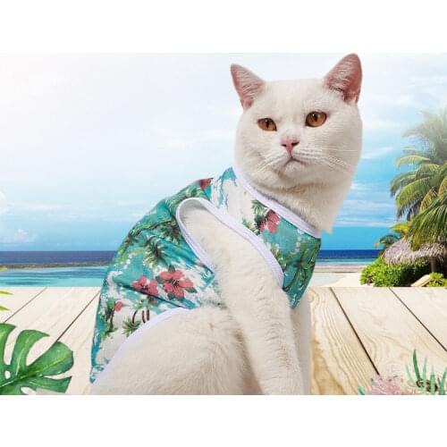 Товары для кошек Pet Treasure China At AliExpress