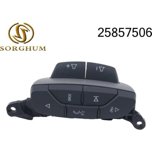 Fits For 2009 Buick Lucerne Car Steering Wheel Key Switch Cruise Control Switch Button 25857506