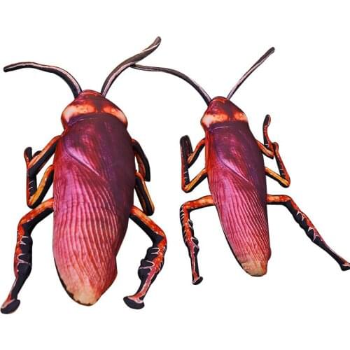 35/55 cm Cockroach Plush Animals 3D Doll Toys Soft Stuffed Pillow Baby Cushion Doll Bedding For Adults Kids Toys