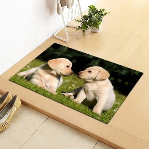 The New Cute Dogs Doormat Decoration Home Bedroom Kitchen Living Room Bathroom Aisle Entrance Floor Rugs Home Door Mat