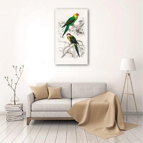Birds-Decorative Canvas print NATURE OFFICIAL RELAXING WORK