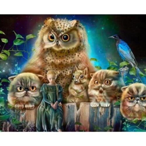 5D DIY Diamond Embroidery Painting Cross Stitch Home Decorations Girl Owl Cats All Mosaic Crafts 3d Sewing Kit