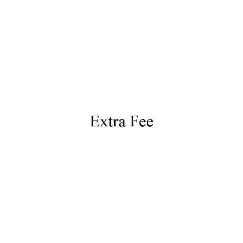 Extra Fee