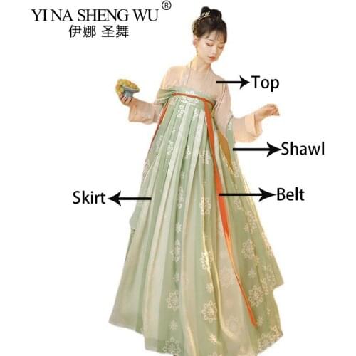Hanfu Women Chinese Traditional Robe Printing Princess Dance Dress Oriental Style Tang Dynasty Ancient Fairy Folk Dance Costumes