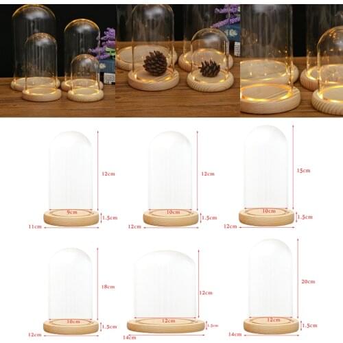 Blesiya Decorative Clear Cloche Glass Display Dome With LED Wooden Base