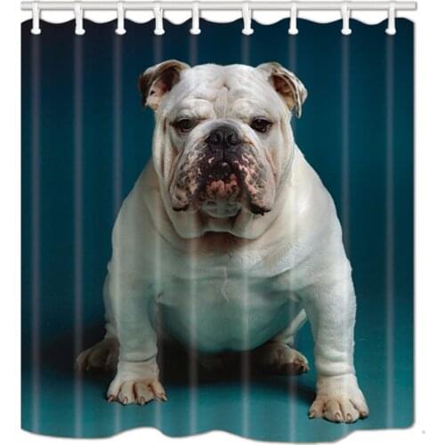 Animals Pet Dogs Shower Curtain, British Bulldog Pet for Family Bath Curtain, Polyester Fabric Waterproof Shower Curtain, 70X70