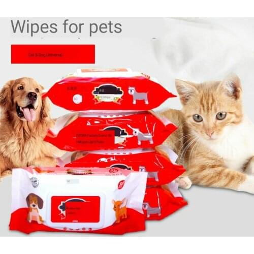 Pet dogs and cats special summer wet wipes clean cat and dog supplies 80 CN wipes dog and cat products