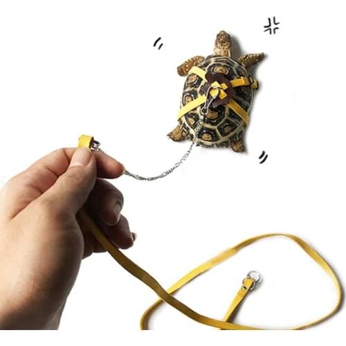 Adjustable PU Leather Pet Turtle Tortoise Reptile Lizard Harness Leash Strap Lead Control Rope Traction Belt for Walking Outing