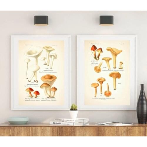 Vintage Mushroom Botanical Posters and Prints Atlas of Edible and Poisonous Mushrooms Plants Kraft pape Retro Poster