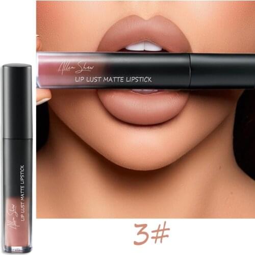 Professional Makeup Matte Velvet Lip gloss Waterproof Matte Liquid Lipstick Long lasting Lipstick Set Cosmetics TSLM1