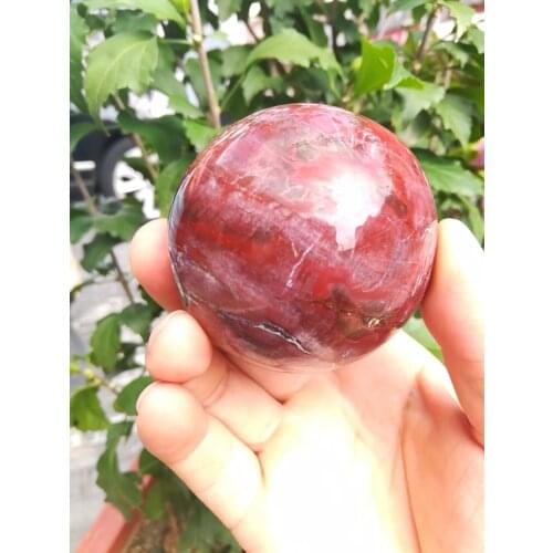 60mm Natural wood fossil ball fossil polishing pellets of Madagascar