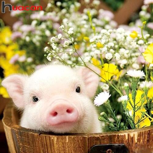 Huacan Diamond Mosaic Embroidery Pig Flowers 5D Diamond Art Painting Kits Animals Needlework Handmade Gift Decoration For Home