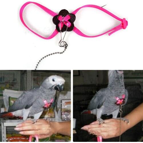 Parrot Bird Harness & Leash Adjustable Multicolor Light Soft Fashion HSLN #66982 Color Random Pet Tool Products