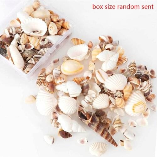 Natural Conch Shells Mini Conch Corn Screw Wall Decoration DIY Aquarium Landscape Seashells Crafts/party Decor About 30-40g