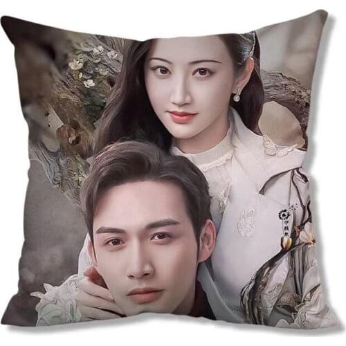 TV Series Stern Jing Tian Bin Bin Pillowcase Star Surrounding Same Sofa Cushion Cover Cojines Decor Para Sofa Home Pillow Cover