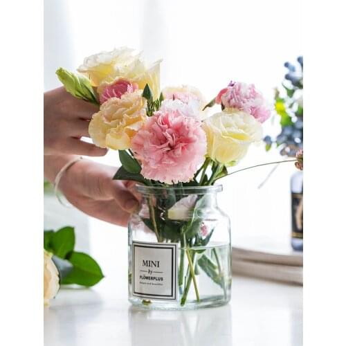 Uropean Style Ins Glass Vase Flower Arrangement Hydroponic Bottle Vase Container Home Decoration Ornaments