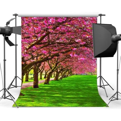 Spring Backdrop Valentines Day Cherry Blossom Flowers Green Grass Meadow Sunshine Nature Outdoor Picnic Photography Background
