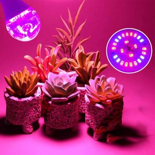 Full spectrum Plant Grow LED Light Bulbs Lamp lighting For Seeds Hydro Flower Greenhouse Succulents Garden E26 E27 Phyto Grow