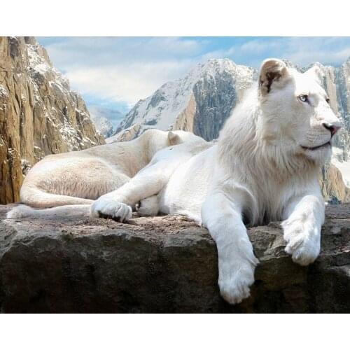 5d Diy Diamond Painting Animal Snow Mountain White Lion Full Square round Diamond Embroidery Cross Stitch Mosaic Home decor Gift