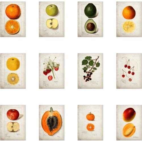 Fruit Kitchen Poster Vintage Poster Antique Canvas Print Apple Orange Pineapple Wall Art Room Decoration Picture Canvas Painting