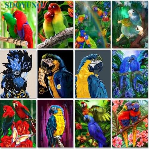 SDOYUNO Oil Painting By Numbers Colourful Parrot 60x75cm Paint For Drawing By Numbers On Canvas Animals Frameless Home Decor